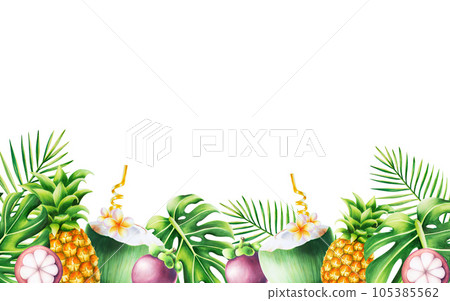 Watercolor tropical frame with coconut cocktail, mangosteen, pineapples and monstera and palm leaves. Ripe fruits illustrations isolated on white background. For designers, spa decoration, postcards, 105385562