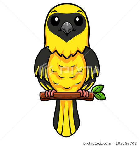 Cute weaver bird cartoon on tree branch Cute weaver bird cartoon on tree branch 105385708
