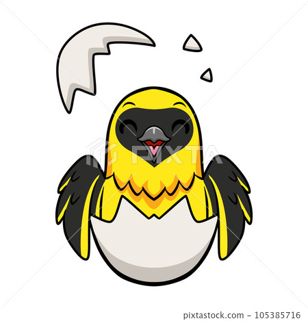 Cute weaver bird cartoon inside from egg Cute weaver bird cartoon inside from egg 105385716