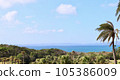 summer blue sky white clouds nature coconut trees meadow sea 105386009