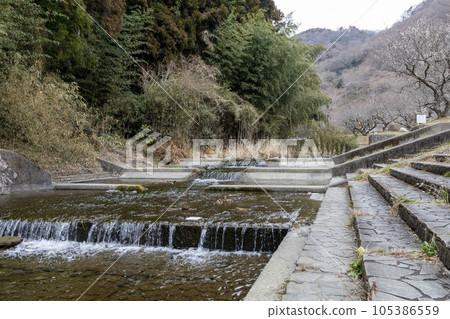Ayukawa in Suwa Umebayashi, Hitachi City, Ibaraki Prefecture Ayukawa in Suwa Umebayashi, Hitachi City, Ibaraki Prefecture 105386559