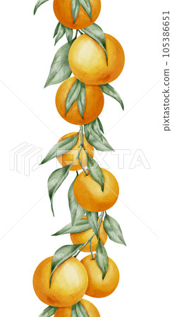 Orange seamless vertical Border. Hand drawn watercolor illustration of citrus tangerine pattern on white isolated background for frame or banner. Tropical mandarin Fruit with green leaves for label. Orange seamless vertical Border. Hand drawn watercolor illustration of citrus tangerine pattern on white isolated background for frame or banner. Tropical mandarin Fruit with green leaves for label. 105386651