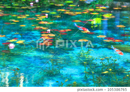 [Gifu Prefecture] Spectacular view of the nameless pond (Monet's pond) 105386765