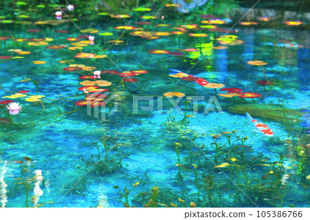 [岐阜縣] 無名池塘（莫奈池塘）的壯麗景色 105386766