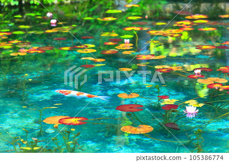 [岐阜縣] 無名池塘（莫奈池塘）的壯麗景色 105386774