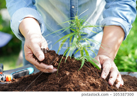 Tree growing with hand, eco earth day, save world, save earth, go green Tree growing with hand, eco earth day, save world, save earth, go green 105387300