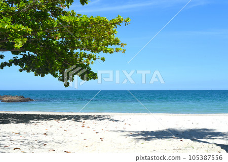 Sandy beach landscape in Vietnam  105387556