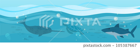 Underwater landscape with sea creatures. Predatory marine mammals, killer whale and narwhal in ocean 105387667