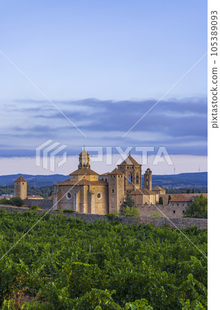 Royal Abbey of Santa Maria de Poblet, cistercian monastery, Catalonia, Spain 105389093