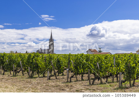 Typical vineyards near Pomerol, Aquitaine, France Typical vineyards near Pomerol, Aquitaine, France 105389449