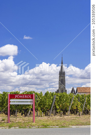 Typical vineyards near Pomerol, Aquitaine, France Typical vineyards near Pomerol, Aquitaine, France 105389506