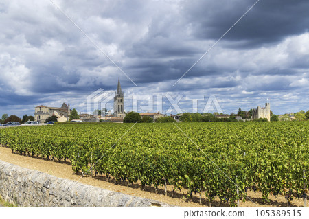 Vineyards with Saint-Emilion town, Aquitaine, Gironde, France Vineyards with Saint-Emilion town, Aquitaine, Gironde, France 105389515