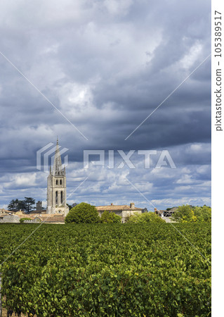 Vineyards with Saint-Emilion town, Aquitaine, Gironde, France 105389517