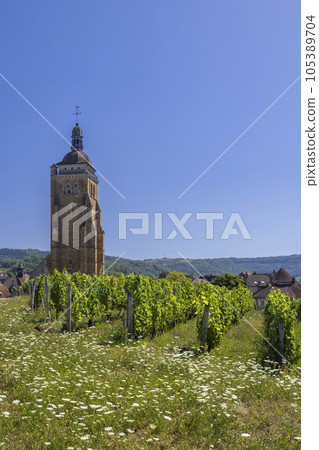 Vineyards with Arbois church, Department Jura, Franche-Comte, France Vineyards with Arbois church, Department Jura, Franche-Comte, France 105389704
