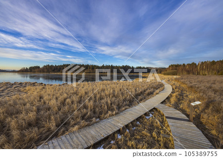 nature reserve Olsina, Sumava National Park, Czech Republic 105389755