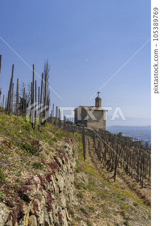 Grand cru vineyard and Chapel of Saint Christopher, Tain l'Hermitage, Rhone-Alpes, France Grand cru vineyard and Chapel of Saint Christopher, Tain l'Hermitage, Rhone-Alpes, France 105389769