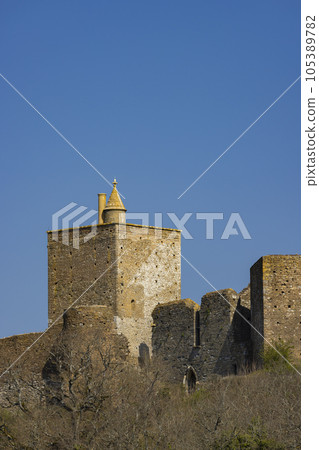 Brancion castle (Chateau de Brancion), Martailly-les-Brancion, Burgundy, France 105389782