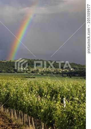 Traditional wine cellars (Gombos-hegyi pincesor) in Hercegkut, UNESCO site, Great Plain, North Hungary 105389977