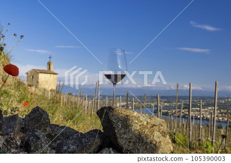 Grand cru vineyard and Chapel of Saint Christopher, Tain l'Hermitage, Rhone-Alpes, France 105390003