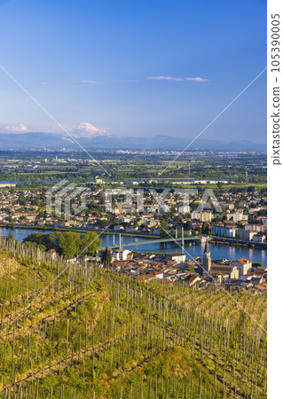 Grand cru vineyard, Tain l'Hermitage, Rhone-Alpes, France Grand cru vineyard, Tain l'Hermitage, Rhone-Alpes, France 105390005