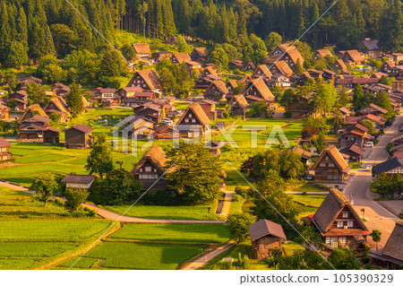 夏日的白川鄉(夜景) 夏日的白川鄉(夜景) 105390329