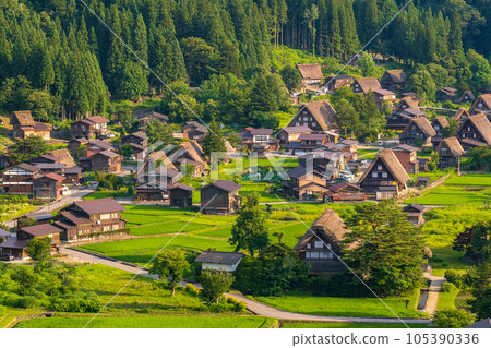 Shirakawa-go in summer (evening view) 105390336