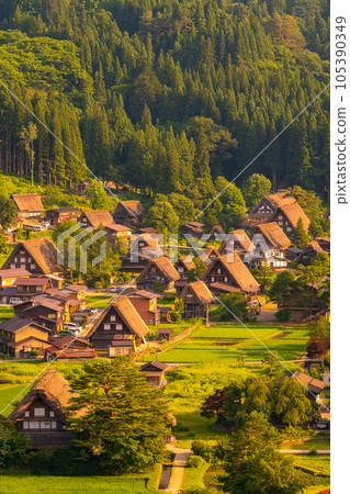 Shirakawa-go in summer (evening view) 105390349