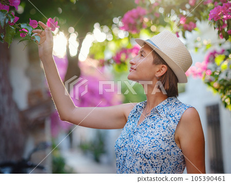 Blooming bougainvillea, streets of the old town of Bodrum, Turkey Blooming bougainvillea, streets of the old town of Bodrum, Turkey 105390461