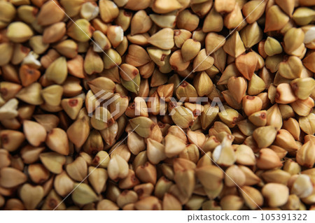 Closeup view of organic green buckwheat as background 105391322