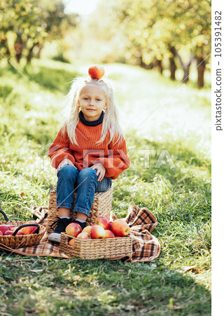 Child picking apples on farm in autumn. Little girl playing in tree orchard. Healthy nutrition. Cute little girl eating red delicious fruit. Harvest Concept. Apple picking. Child picking apples on farm in autumn. Little girl playing in tree orchard. Healthy nutrition. Cute little girl eating red delicious fruit. Harvest Concept. Apple picking. 105391482