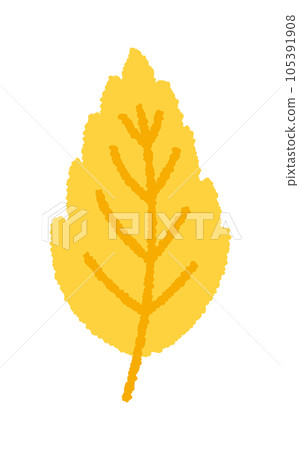 Fallen leaves, leaves, autumn leaves, autumn plants / handwritten vector illustrations Fallen leaves, leaves, autumn leaves, autumn plants / handwritten vector illustrations 105391908