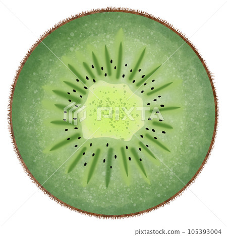 Sliced fresh kiwi Sliced fresh kiwi 105393004