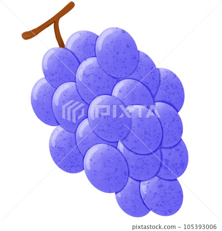 A bunch of purple grapes A bunch of purple grapes 105393006