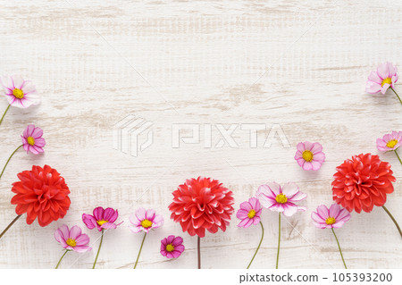 Dahlia and cosmos flower frame 105393200