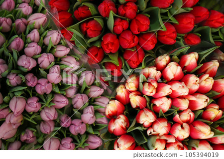 Fresh colorful bouquets with tulip flowers, top view 105394019