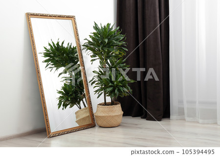 Modern interior with large mirror and dracaena plant Modern interior with large mirror and dracaena plant 105394495