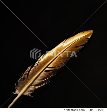 Golden feather close-up on black, bird feather covered with gold, for design and advertising Golden feather close-up on black, bird feather covered with gold, for design and advertising 105394596