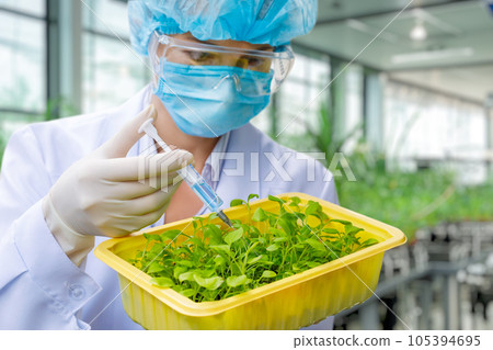 The laboratory assistant makes feeding of plants of samples . The laboratory assistant makes feeding of plants of samples . 105394695
