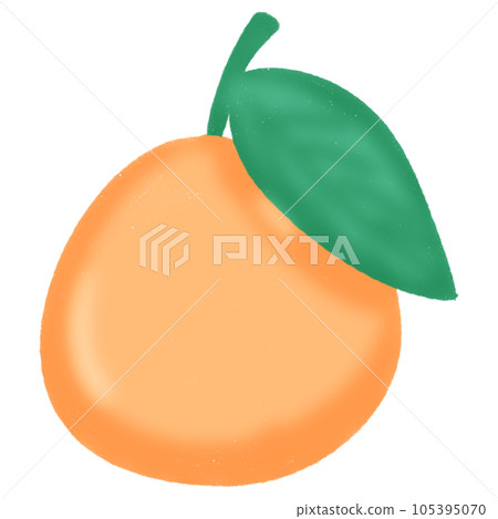 vector illustration of fruit vector illustration of fruit 105395070