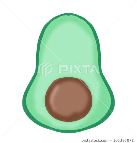 vector illustration of fruit vector illustration of fruit 105395071