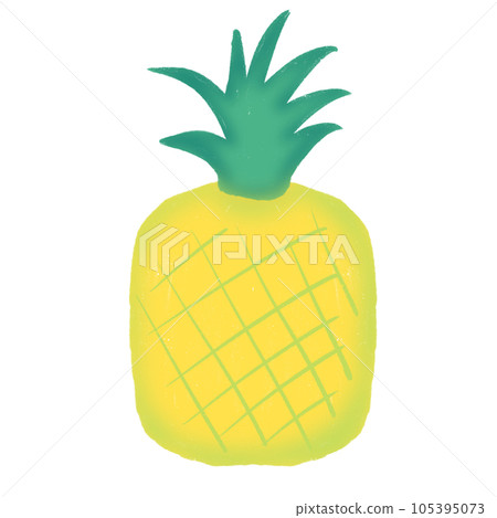 vector illustration of fruit vector illustration of fruit 105395073