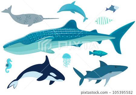 Marine life set. Wild nature of world ocean, fish, animals and molluscs. Underwater animal life Marine life set. Wild nature of world ocean, fish, animals and molluscs. Underwater animal life 105395582