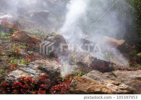 sprinkling irrigation on young garden hardscape with natural stones and growth plants on spring day, nobody. sprinkling irrigation on young garden hardscape with natural stones and growth plants on spring day, nobody. 105397953