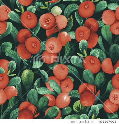 Watercolour seamless cranberry cowberry pattern with berries and leaves hand drawn illustration isolated on black. red huckleberry, red billberry, whortleberry, foxberry 105397993