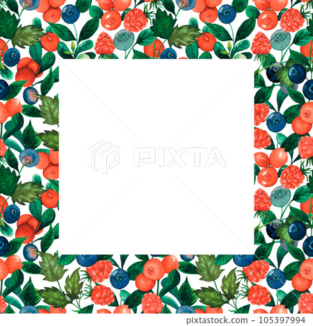 Watercolour raspberry, blueberry, cranberry square frame with forest berries, leaves hand drawn isolated on white. For product design, invitation, banner, background Watercolour raspberry, blueberry, cranberry square frame with forest berries, leaves hand drawn isolated on white. For product design, invitation, banner, background 105397994