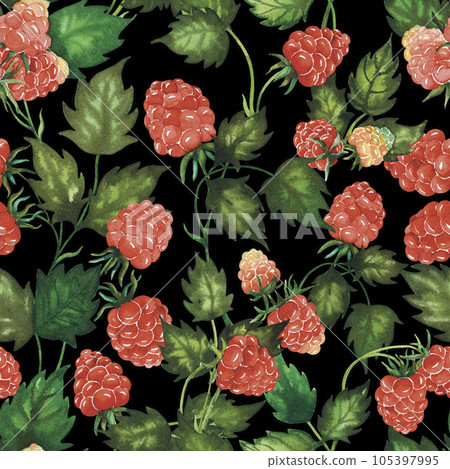 Seamless watercolour raspberry pattern with berries, leaves hand drawn isolated on black. For textile, wrapping paper, backgrounds Seamless watercolour raspberry pattern with berries, leaves hand drawn isolated on black. For textile, wrapping paper, backgrounds 105397995
