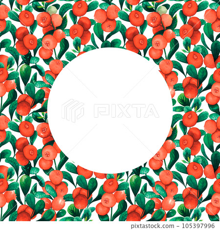 Seamless watercolour cranberry cowberry round frame with berries and leaves hand drawn illustration isolated on white. red huckleberry, red billberry, whortleberry, foxberry Seamless watercolour cranberry cowberry round frame with berries and leaves hand drawn illustration isolated on white. red huckleberry, red billberry, whortleberry, foxberry 105397996