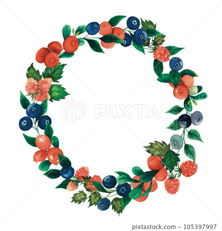Watercolour cranberry, blueberry, raspberry wreath with forest berries and leaves. Hand drawn illustration for invitation, cards, product design isolated on white Watercolour cranberry, blueberry, raspberry wreath with forest berries and leaves. Hand drawn illustration for invitation, cards, product design isolated on white 105397997