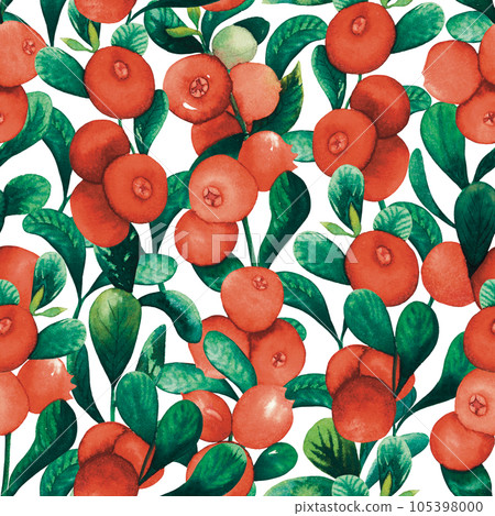 Seamless watercolour cranberry cowberry pattern with berries and leaves hand drawn illustration isolated on white. red huckleberry, red billberry, whortleberry, foxberry Seamless watercolour cranberry cowberry pattern with berries and leaves hand drawn illustration isolated on white. red huckleberry, red billberry, whortleberry, foxberry 105398000