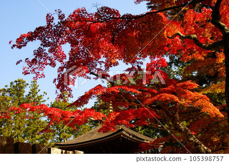 高野山·秋葉 高野山·秋葉 105398757